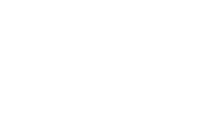 Olive Law White Logo